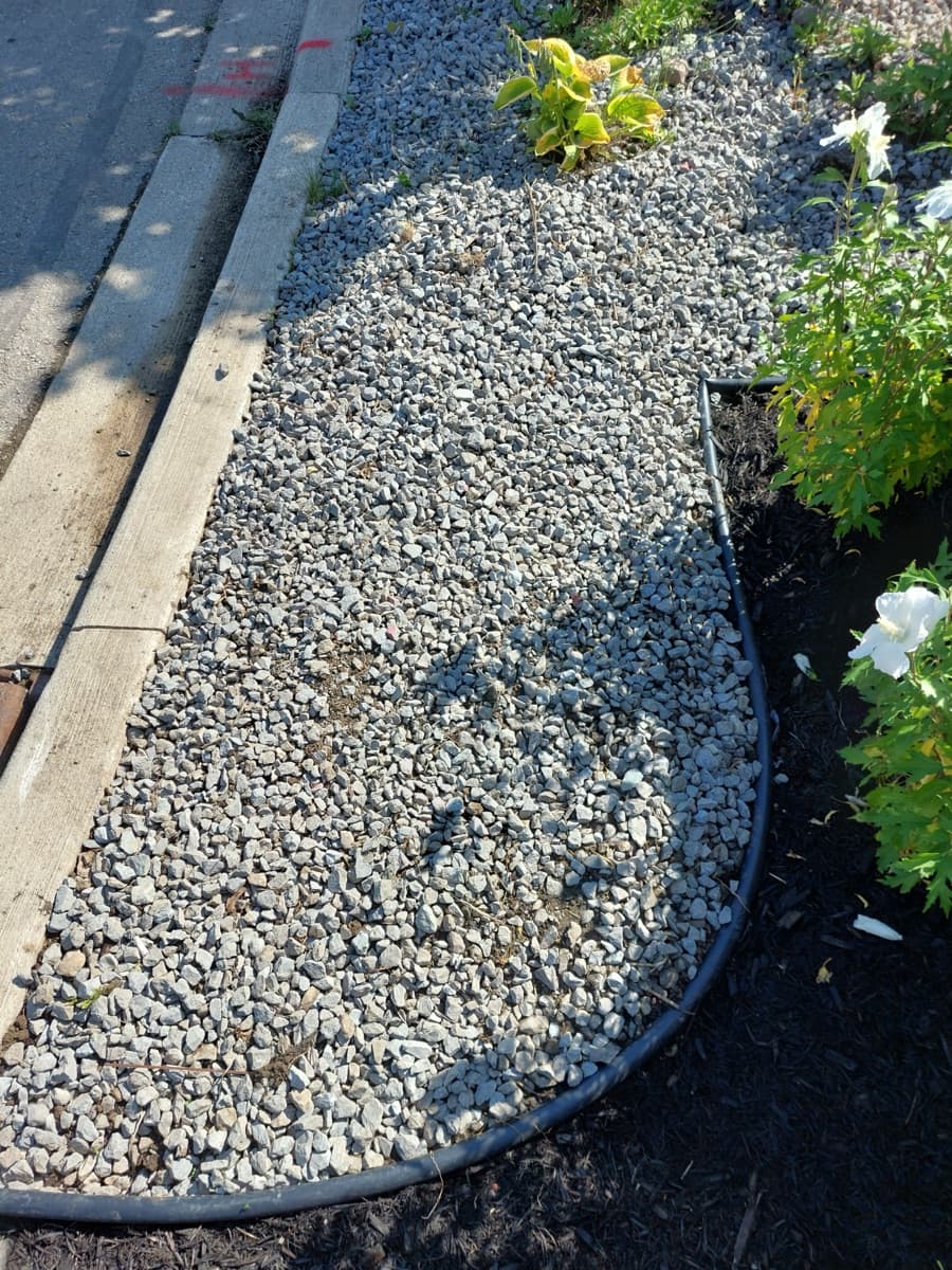 Fall leaf cleanup and yard clearing