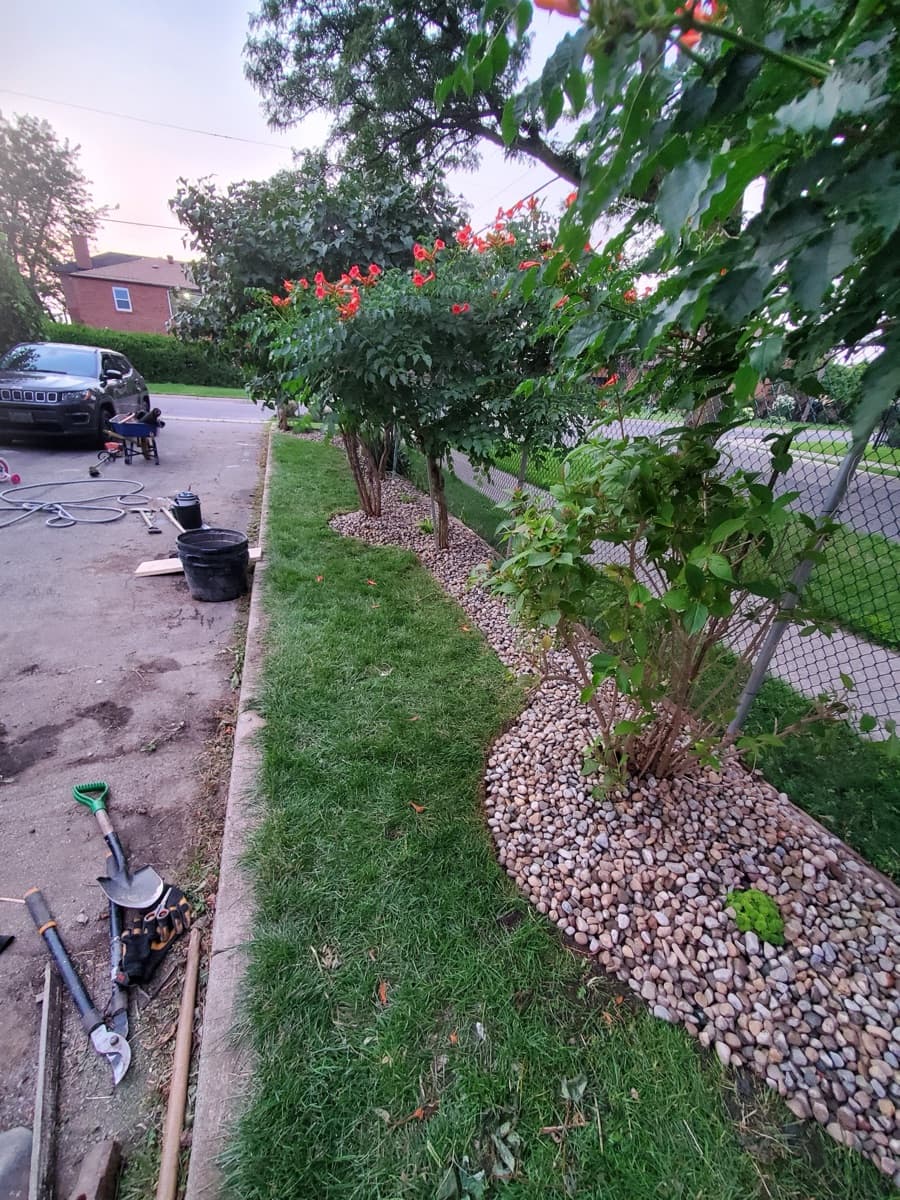 Backyard after deep fall cleanup service
