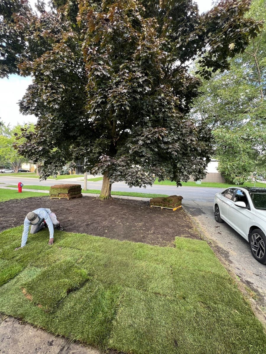 Spring cleanup — driveway and walkway fully cleared