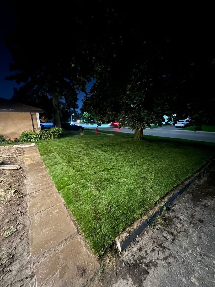 Backyard debris and leaf removal after winter