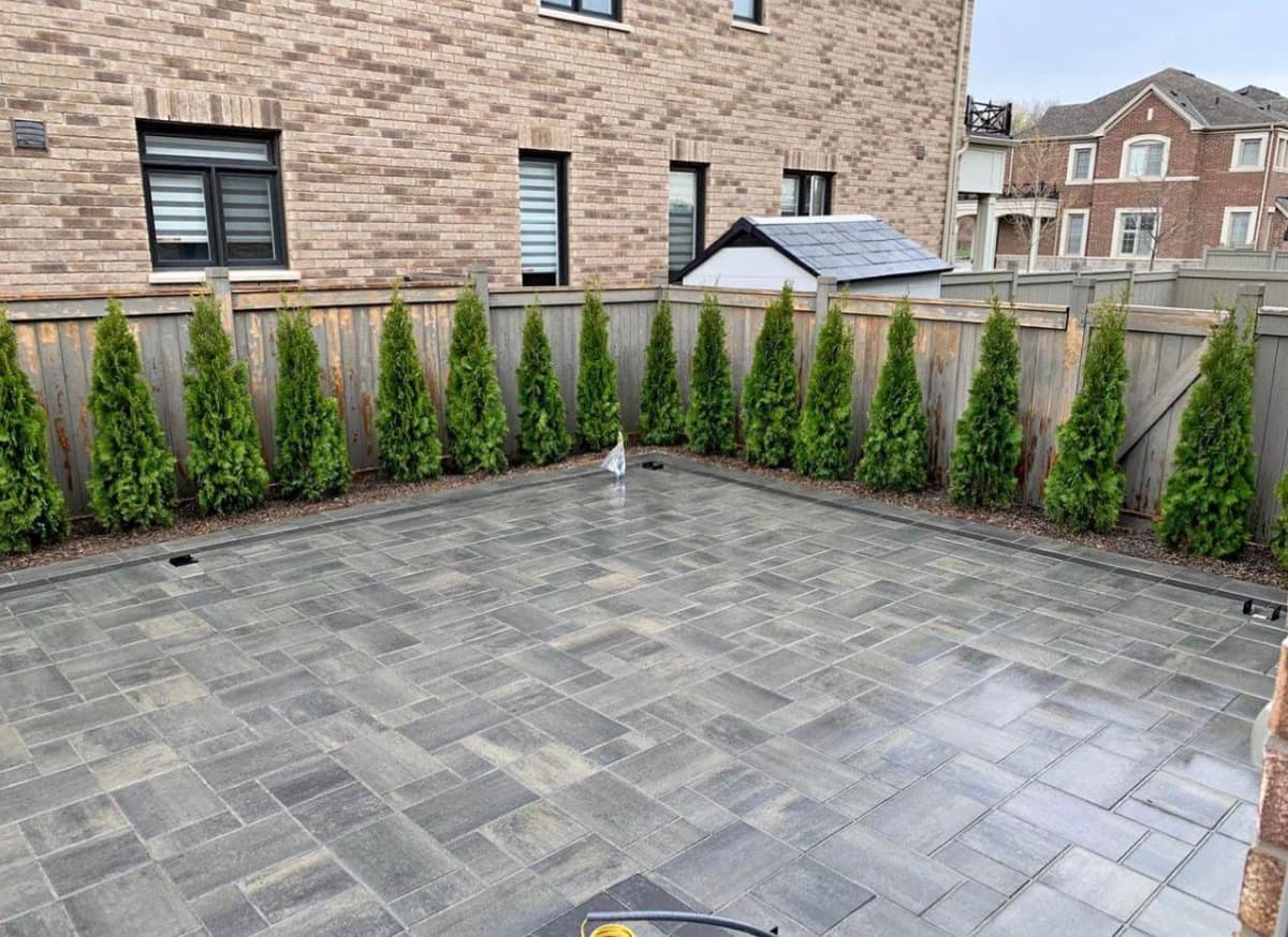 Overgrown side yard restored after spring cleanup