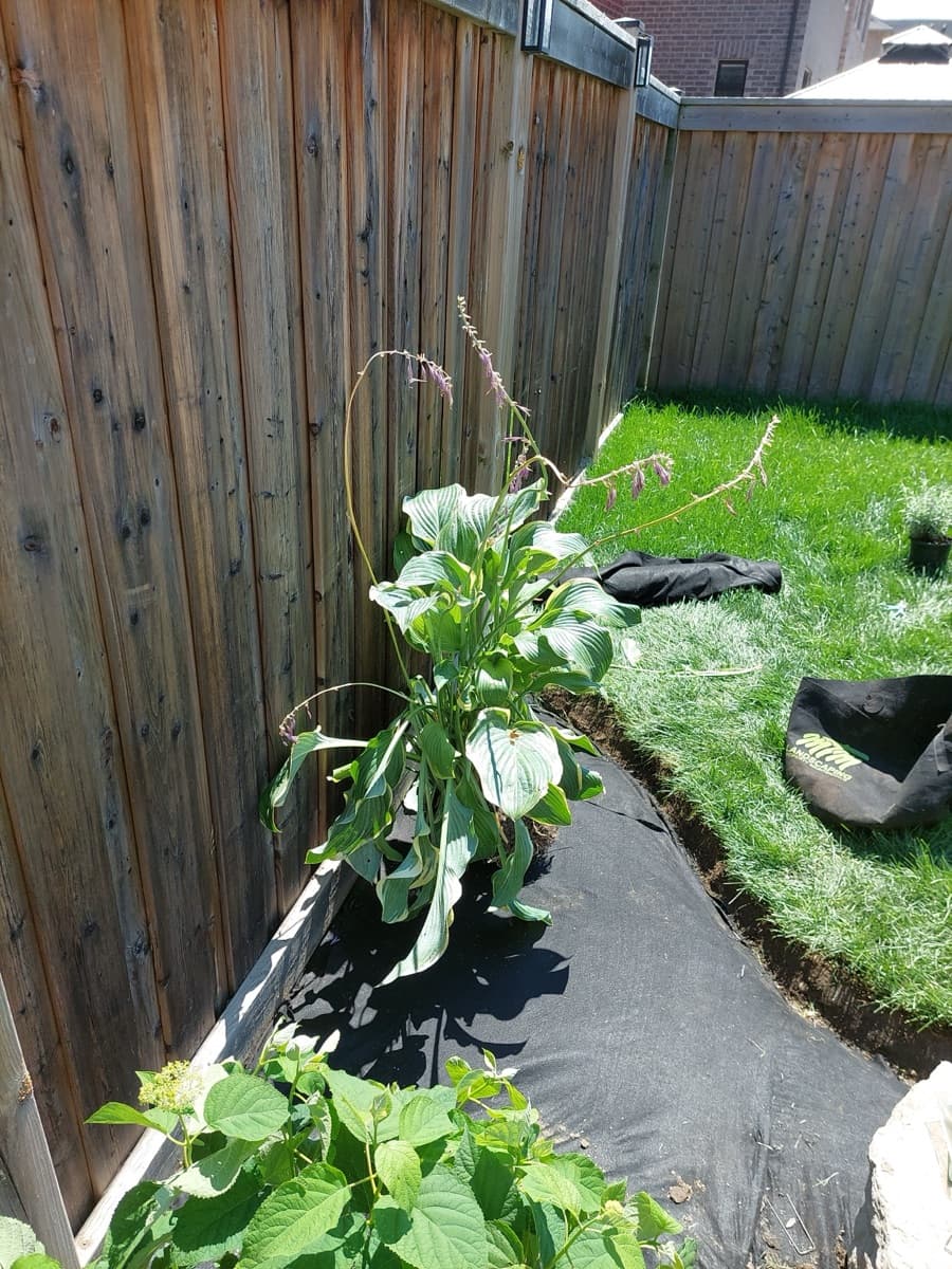 Deck and walkway pressure washed