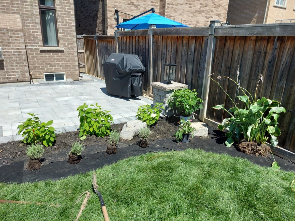Garden bed design and mulching complete