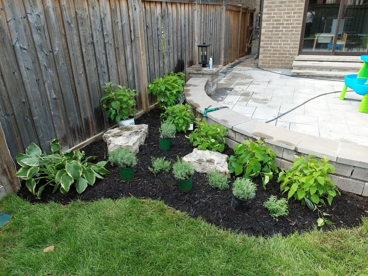 Newly planted garden with shrubs and flowers