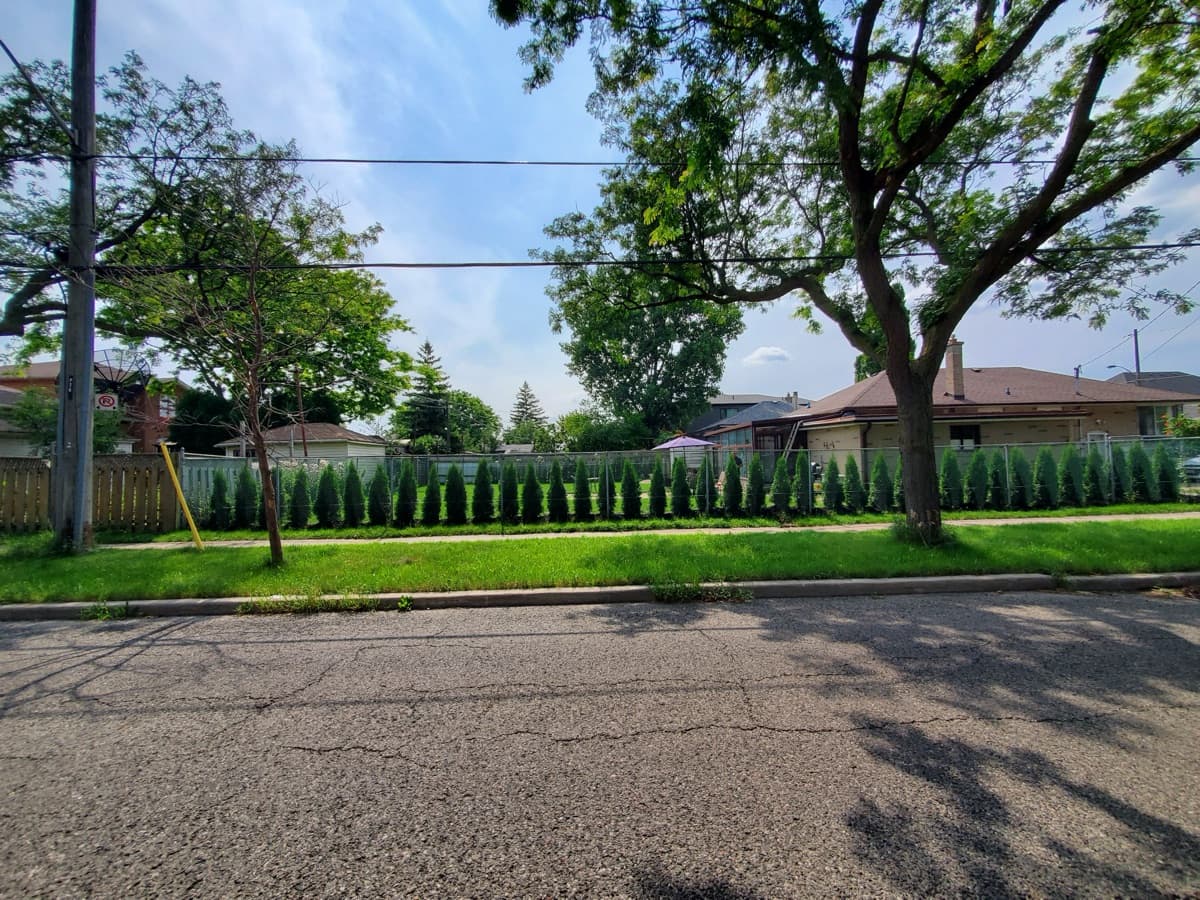 Backyard garden transformation complete