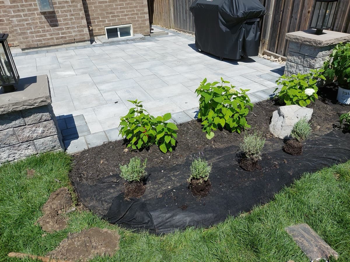 Freshly mowed lawn with clean edges