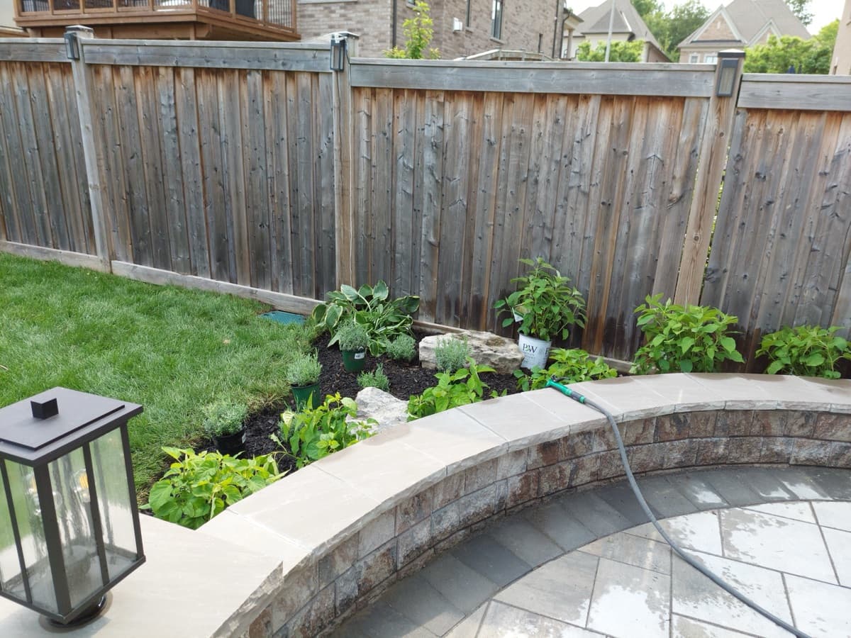 Lawn turf restored after overseeding