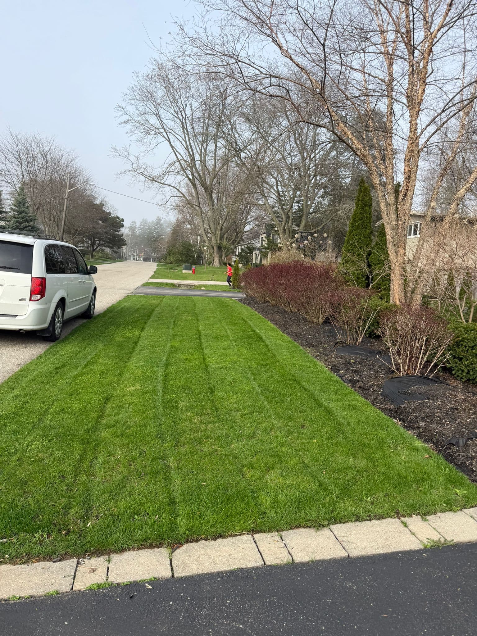 Overgrown lawn trimmed down to a clean, even finish