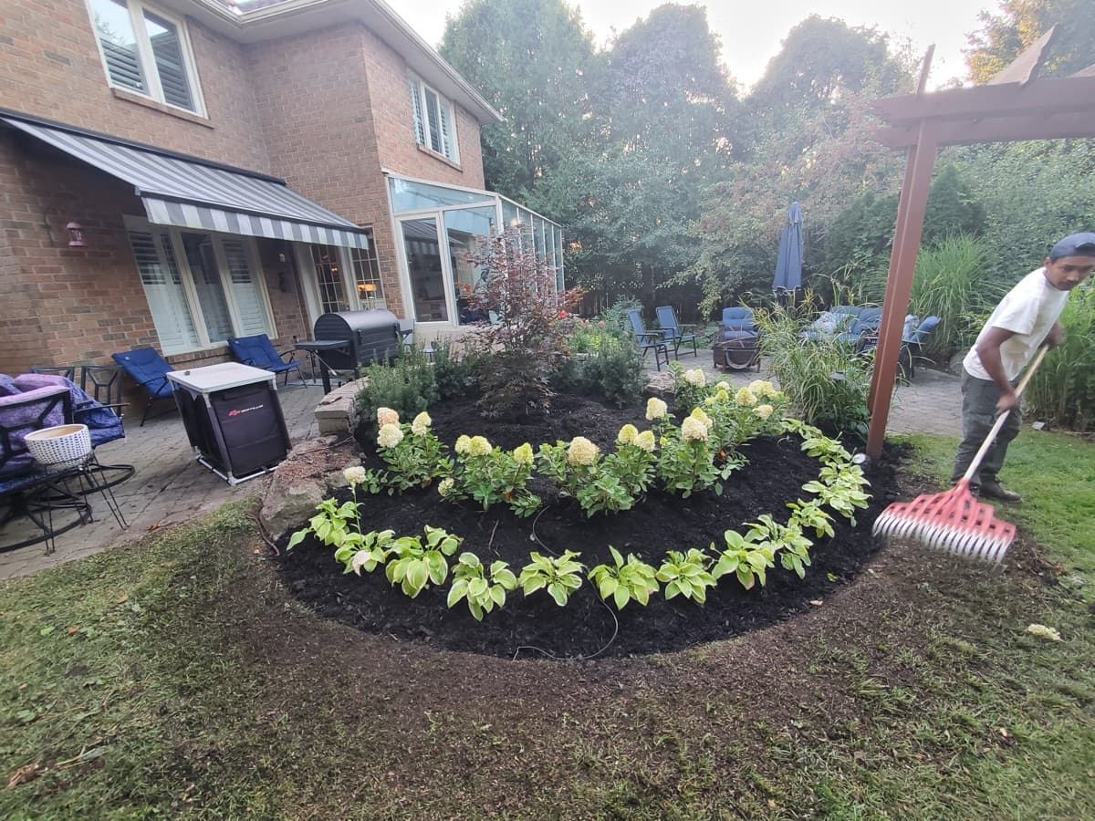 Tree trimming and shrub shaping complete